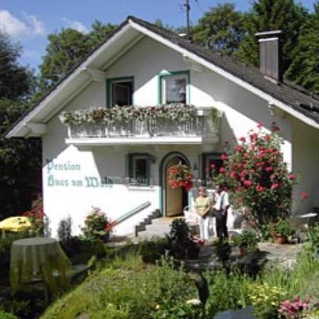 Haus Am Wald Hotel Bayerisch Eisenstein Kültér fotó